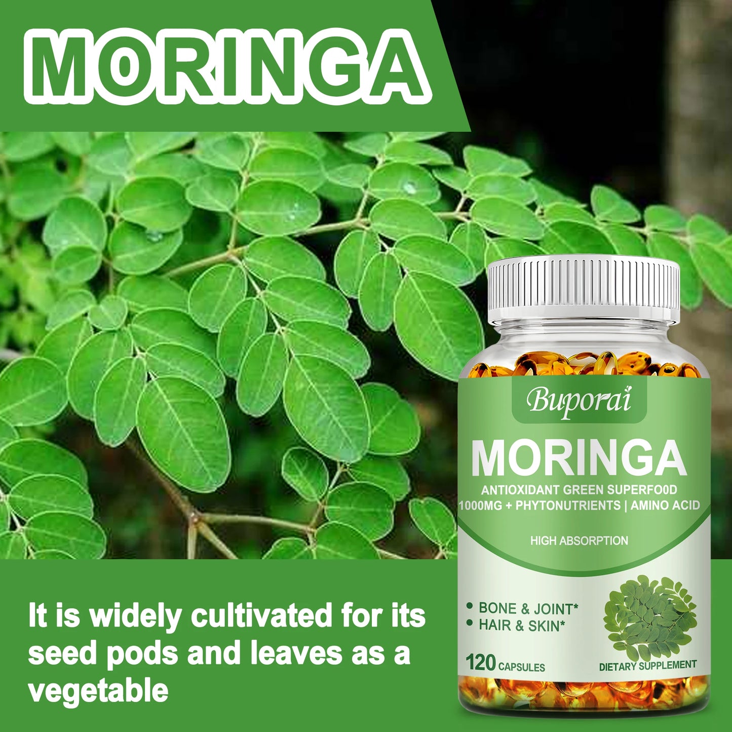 Moringa - Supports Immune Health, Metabolism & Energy