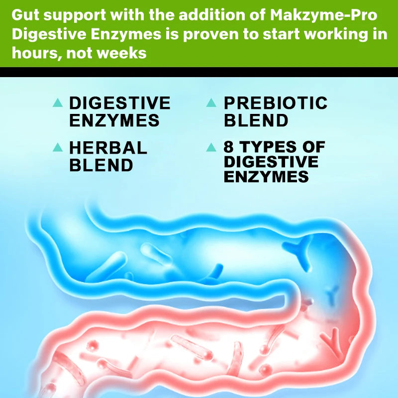 Digestive enzymes for Immune & Digestion Support