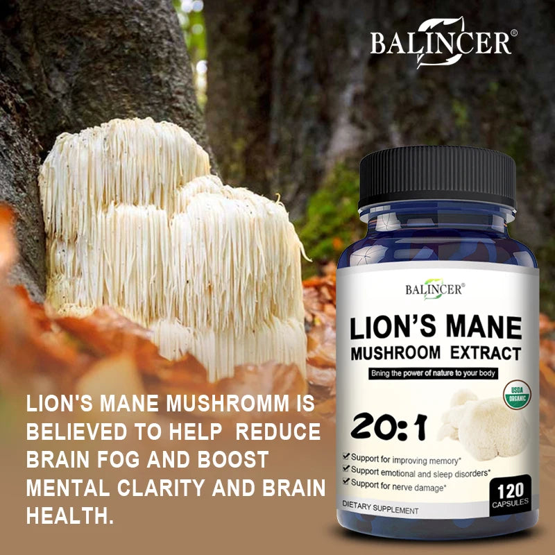 Lion's Mane Mushroom Extract Supports Mood, Sleep
