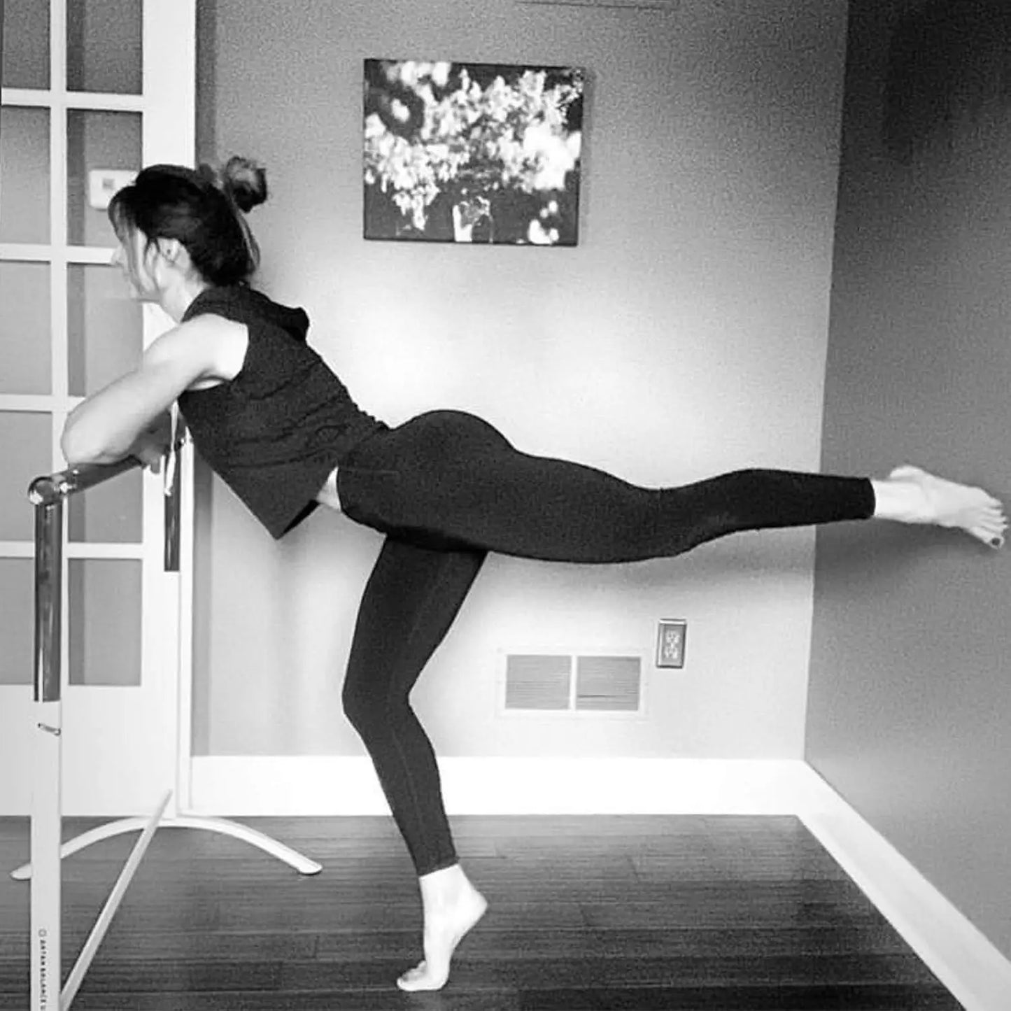 Ballet Barre Portable for Home or Studio